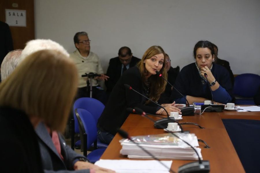 Lucila Masí­n: “Macri decide llevar a cabo polí­ticas discriminatorias, de vaciamiento y achique del Estadoˮ